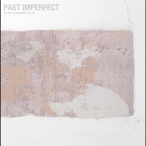 PAST IMPERFECT the best of tindersticks ‚Äô92 - ‚Äô21 (Vinyl) - Apocalypse Vinyl