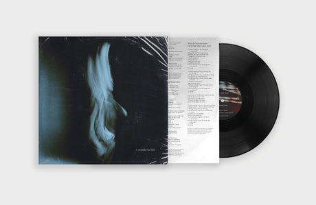 A Wonderful Life (Black Vinyl) (Vinyl)