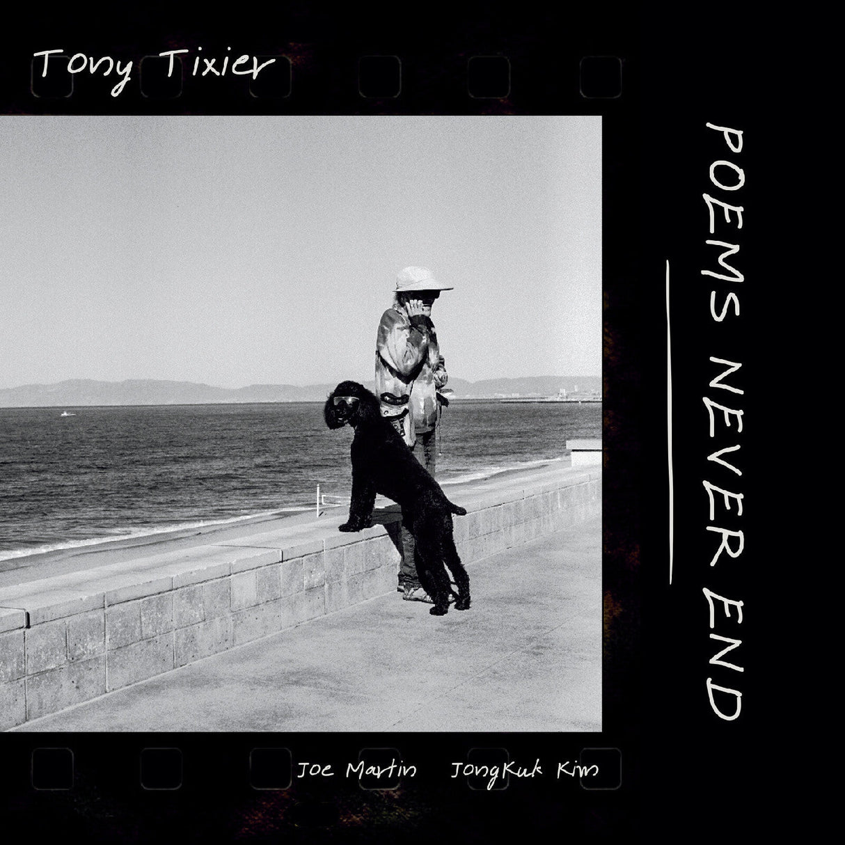 Poems Never End (Vinyl)