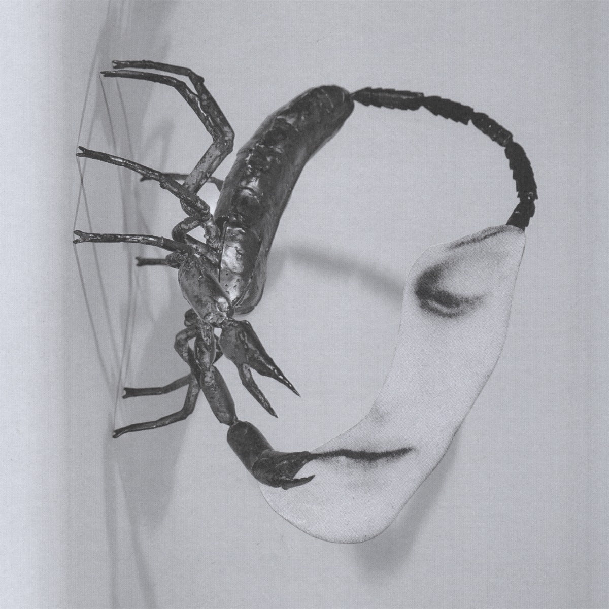Touch [CD] (CD)