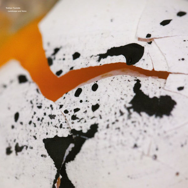 Landscape and Voice (Vinyl)