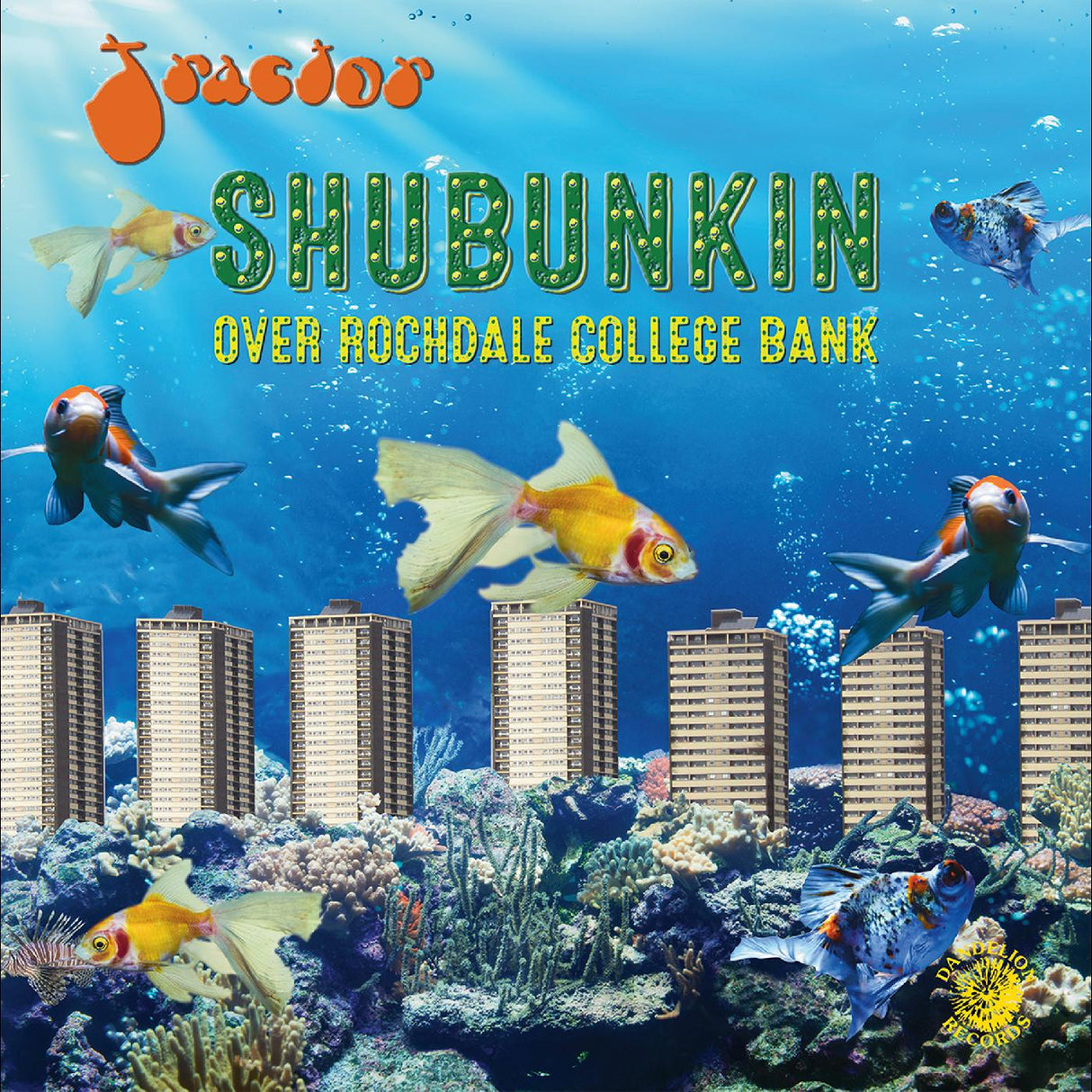Shubunkin Over Rochdale College Bank (COLOR VINYL) (Vinyl)