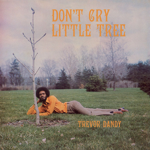 Don't Cry Little Tree (CD)