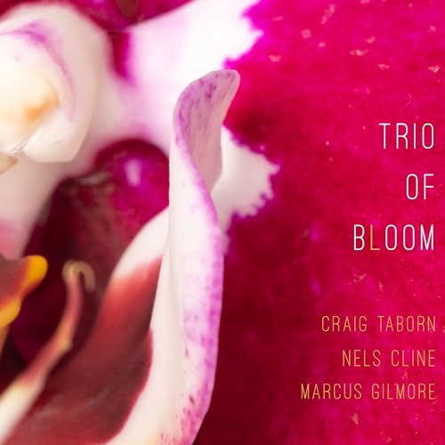 Trio Of Bloom (CD)