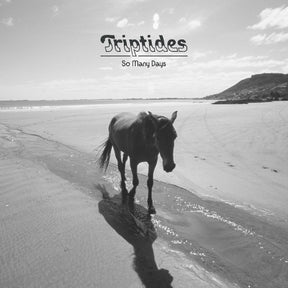 So many days (Vinyl) - Apocalypse Vinyl