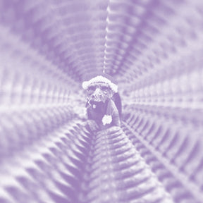 To Keyi Toko Zonga (Vinyl) - Apocalypse Vinyl