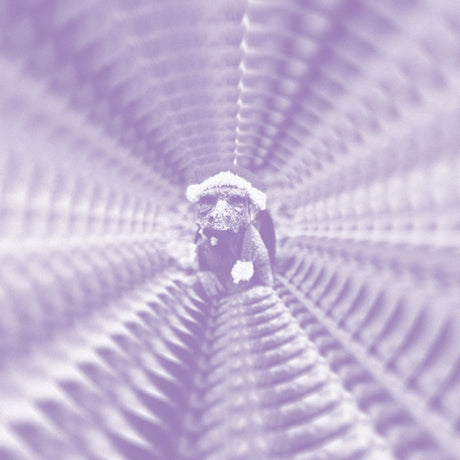 To Keyi Toko Zonga (Vinyl) - Apocalypse Vinyl