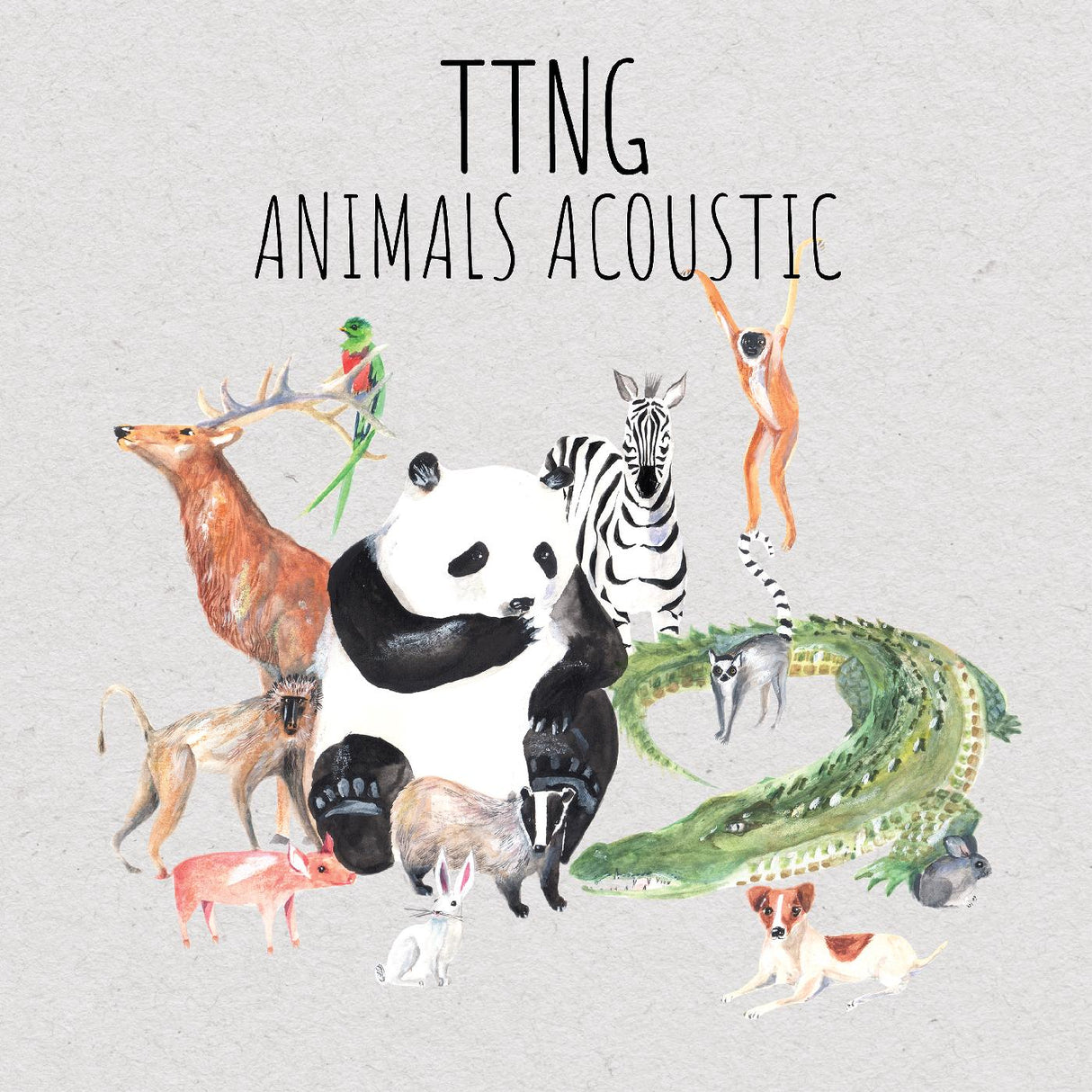 Animals Acoustic (CD)