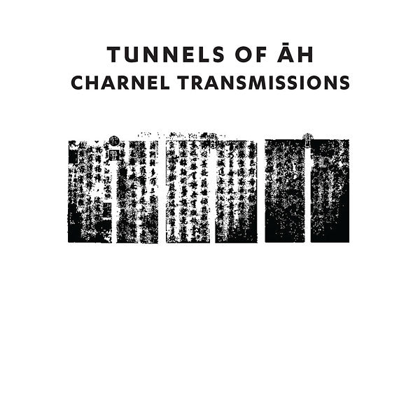 Charnel Transmissions (CD)