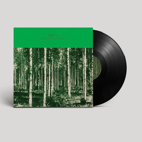 Pennselmann Hits Vol. 2765 (Vinyl)