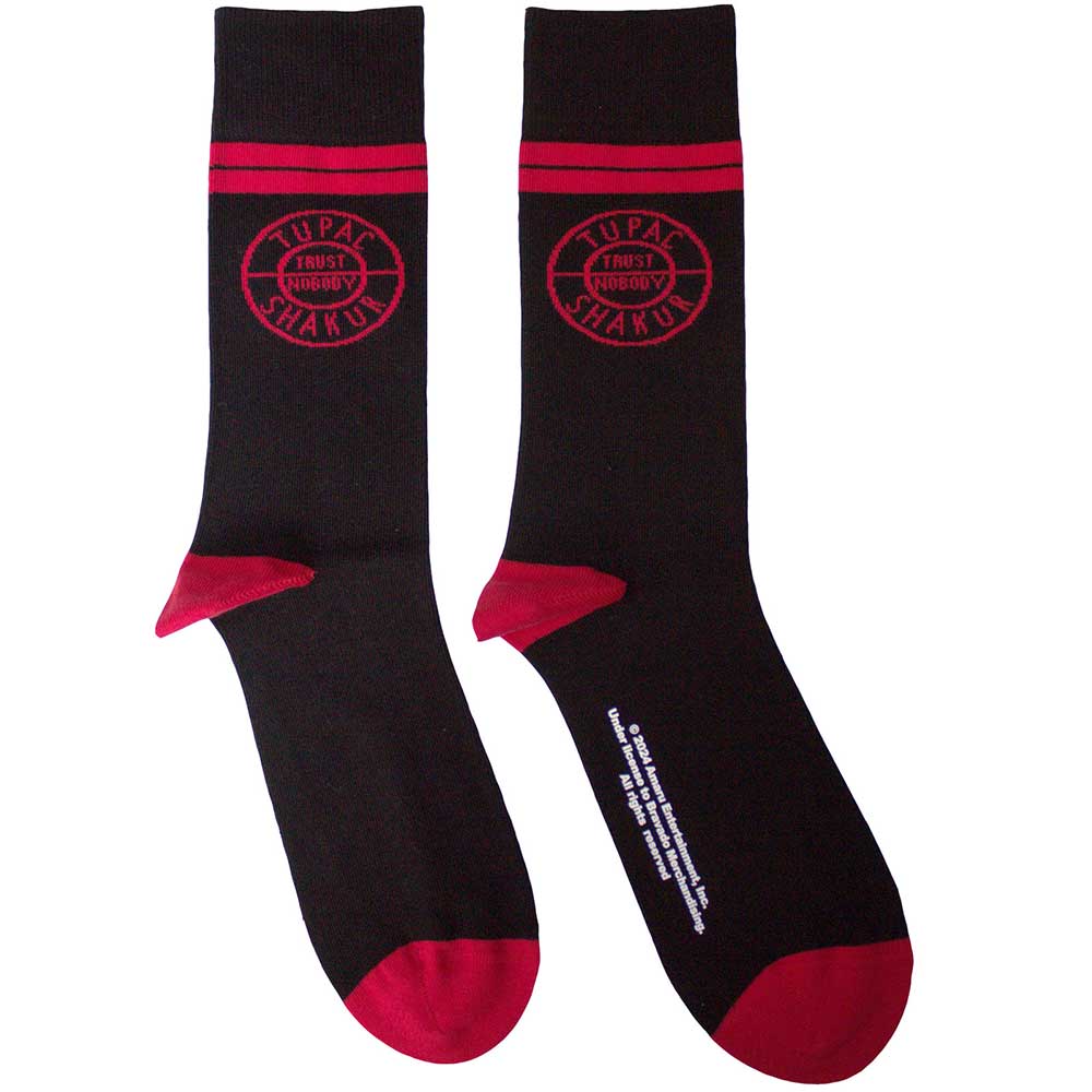 Circle Logo (Socks)