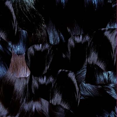 GYU (Vinyl) - Apocalypse Vinyl