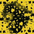 Tyondai Braxton - Splayed Werks [Vinyl]