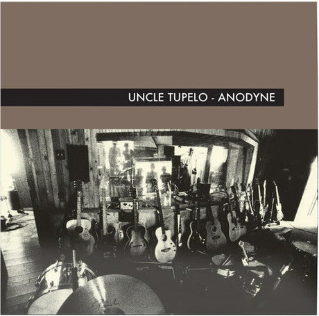 Uncle Tupelo - Anodyne [Vinyl]