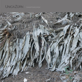 Transpandorem (Vinyl) - Apocalypse Vinyl