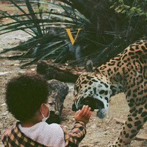 Unknown Mortal Orchestra V - Legendary Edition - Golden Nugget [Vinyl] - Apocalypse Vinyl