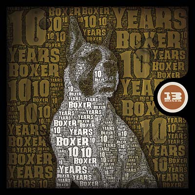 10 Years Of Boxer (CD)