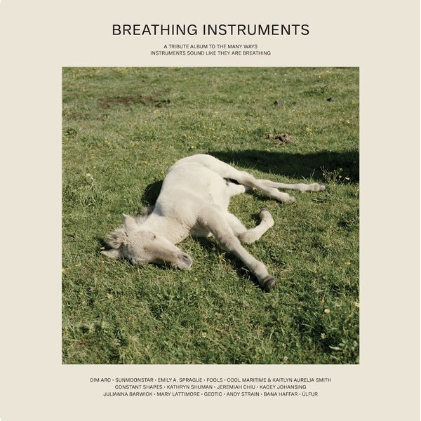 Breathing Instruments (Vinyl)