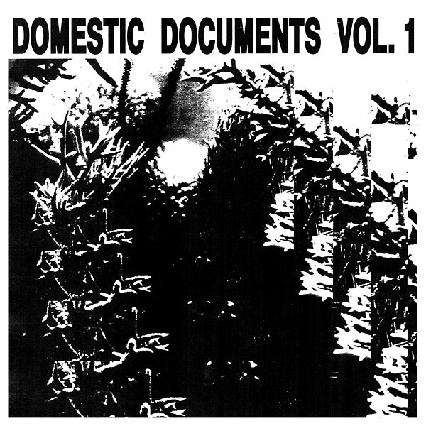 Domestic Documents Vol. 1: Compiled by Butter Sessions and Noise In My Head (Vinyl)