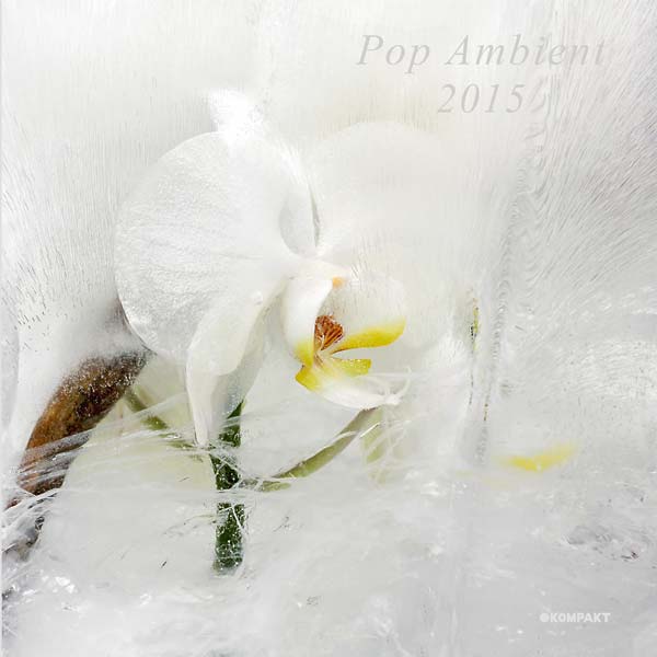 Pop Ambient 2015 (CD)