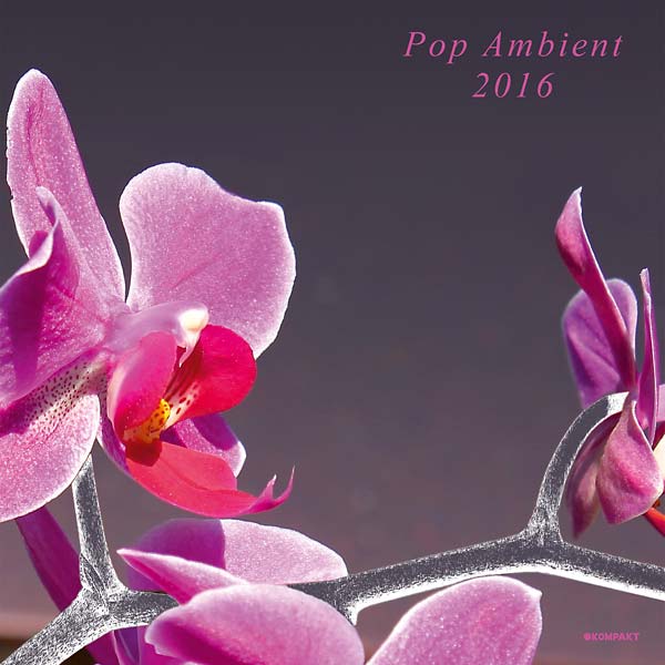 Pop Ambient 2016 (Vinyl)