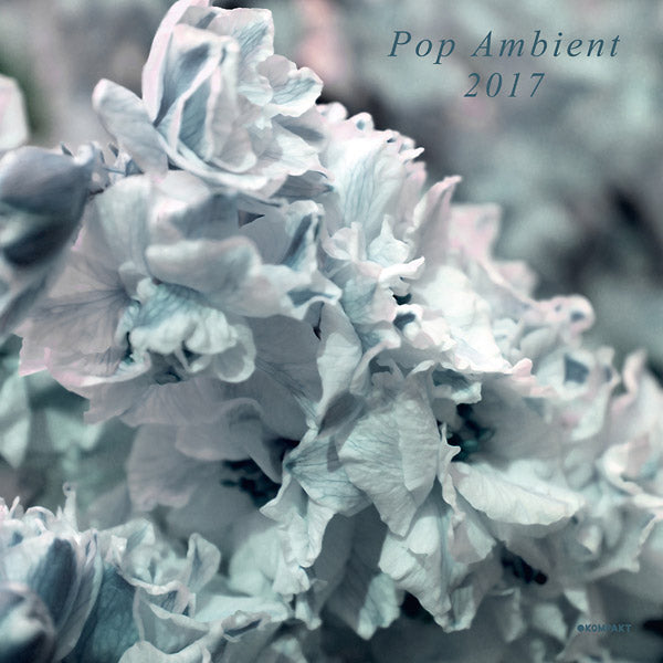 Pop Ambient 2017 (Vinyl)