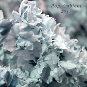 Pop Ambient 2017 (Vinyl) - Apocalypse Vinyl