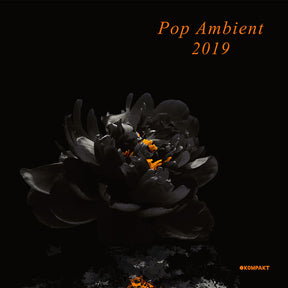 Pop Ambient 2019 (Vinyl)