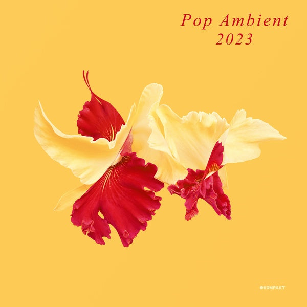 Pop Ambient 2023 (Vinyl)