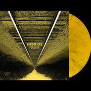 Forever (GOLD & BLACK SPLATTER VINYL) (Vinyl) - Apocalypse Vinyl