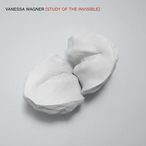 Study of the Invisible (Vinyl)