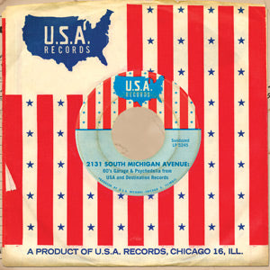 2131 South Michigan Avenue: 60's Garage & Psychedelia from USA and Destination Records (CD)