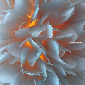 House Of Lsgrv: 2024 Loosegroove Records Compilation (RSD Exclusive) (Vinyl)