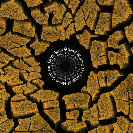 Sand Worms (The Songs Of Howe Gelb And Giant Sand) (Vinyl)