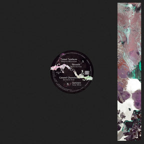 Acid Explorations (Vinyl)