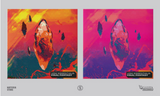 VGM Essentials: FINAL FANTASY (Vinyl)