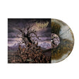 Entabeni (Vinyl)