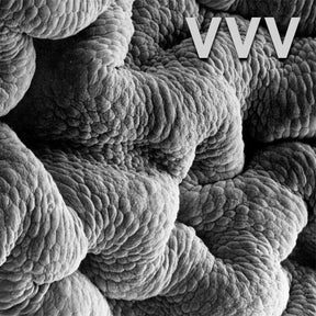 Shadow World (Vinyl)