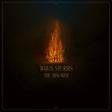 Wailin Storms - The Arsonist [CD]