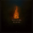 Wailin Storms - The Arsonist [Vinyl]