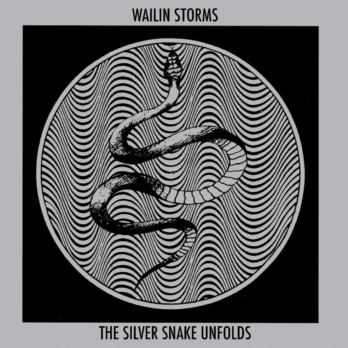 The Silver Snake Unfolds (CD)