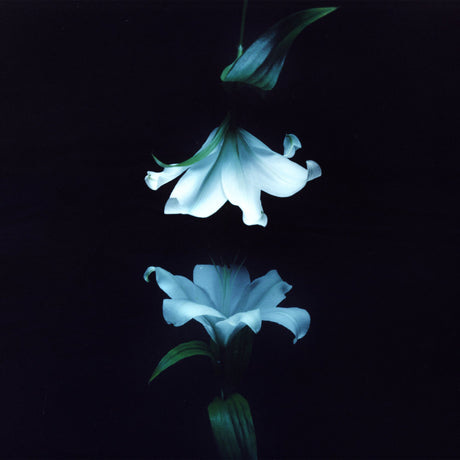 Wasia Project - Nocturne (Indies Exclusive) [Blue Vinyl] [Vinyl]