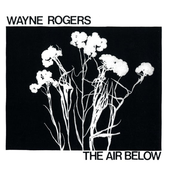 The Air Below (Vinyl)