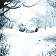SZNZ: Winter (Alliance Mod, Extended Play, Manufactured on Demand) (CD)