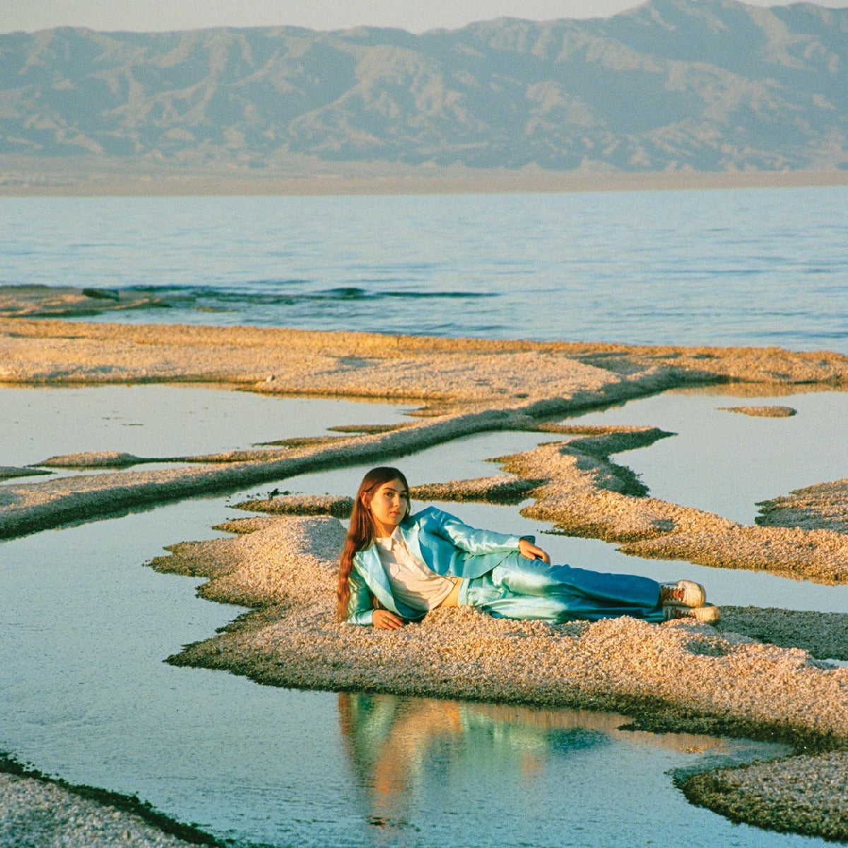 Weyes Blood 前排座位到地球 [唱片 &amp; LP]