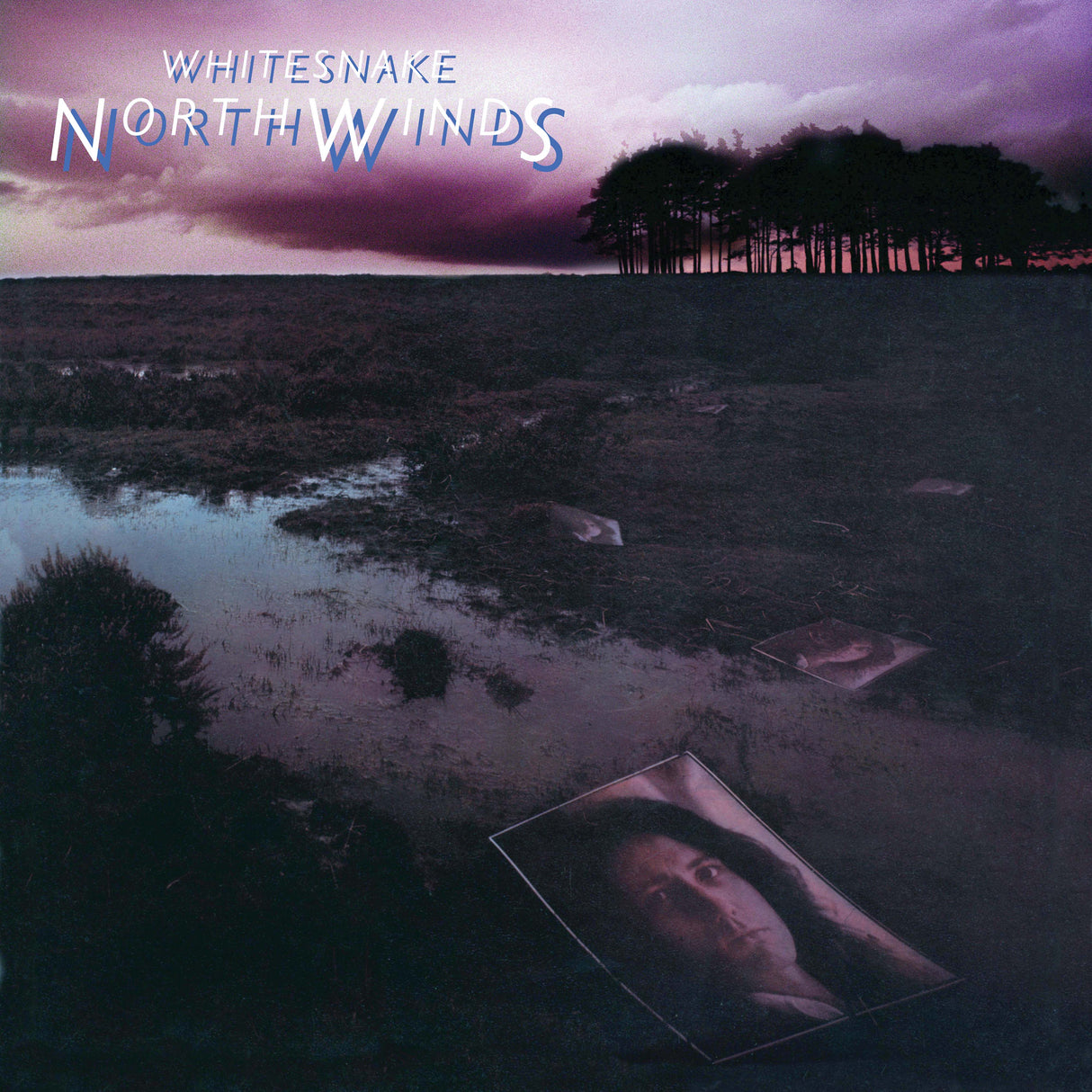 Whitesnake NorthWinds (RKTBR24) (B&MEX) [Records & LPs]