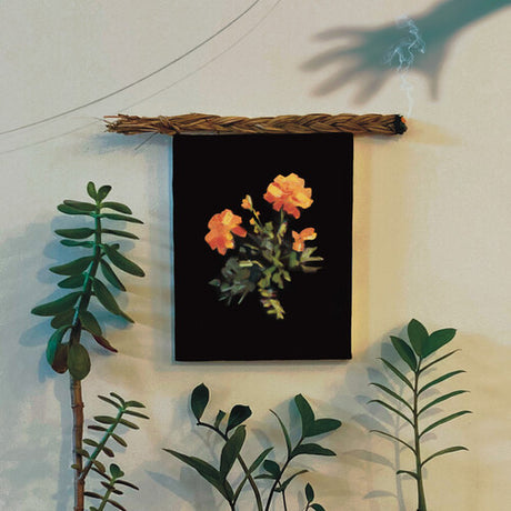 The Well I Fell Into [Explicit Content] (Colored Vinyl) (Vinyl)