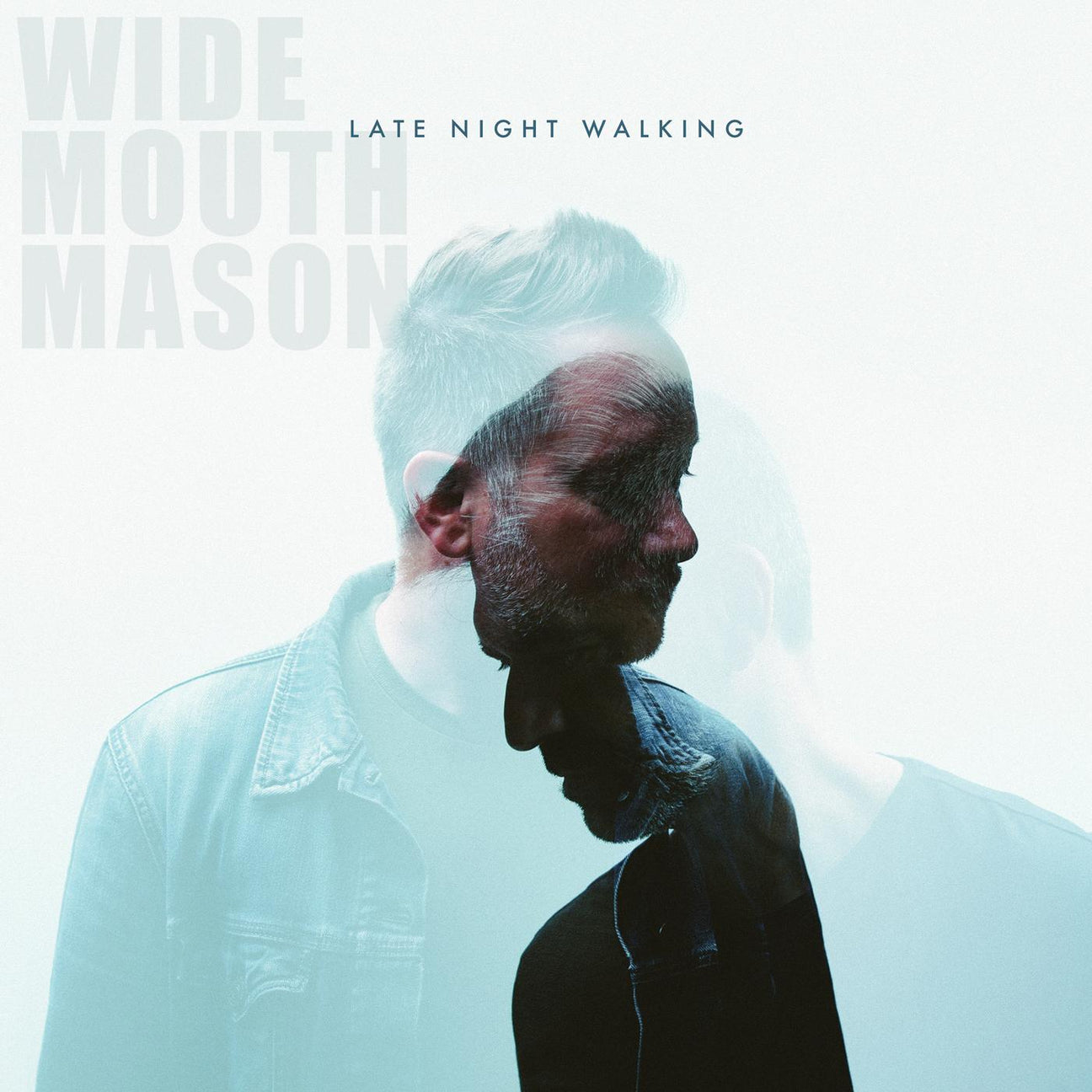 Late Night Walking (Vinyl) - Apocalypse Vinyl