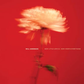 How Little Love Is / How Worth Everything (Vinyl)