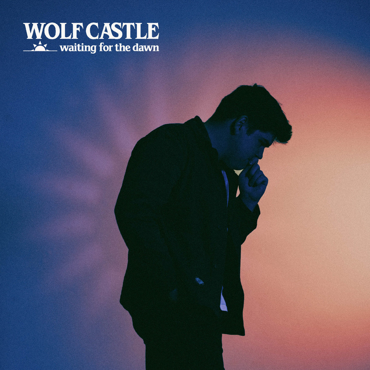 Waiting For The Dawn [Vinyl]